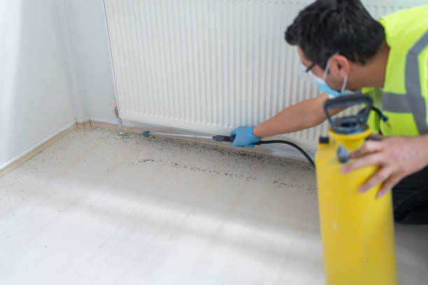 Best Emergency Pest Control  in South Yarmouth, MA